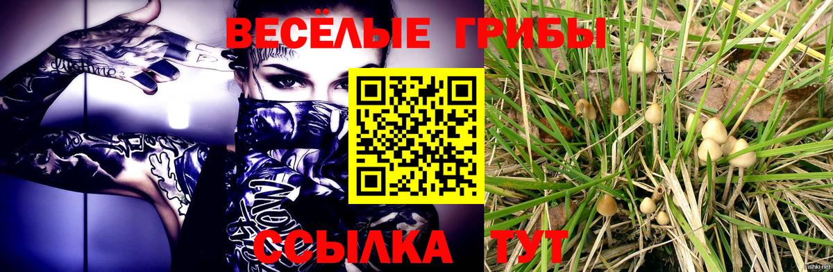 Псилоцибиновые грибы GOLDEN TEACHER Ахтубинск